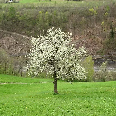 Achtalgut By Interhome Appartamento