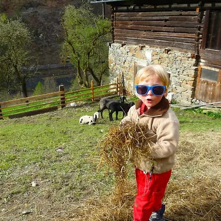 Achtalgut By Interhome * Lend