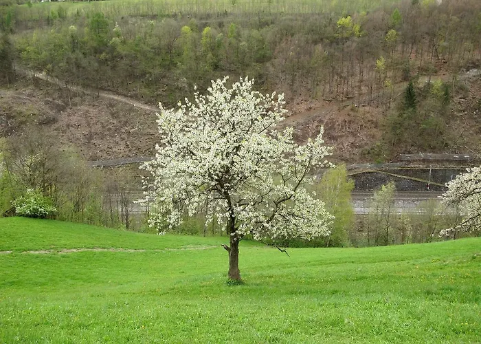 Achtalgut By Interhome Lejlighed