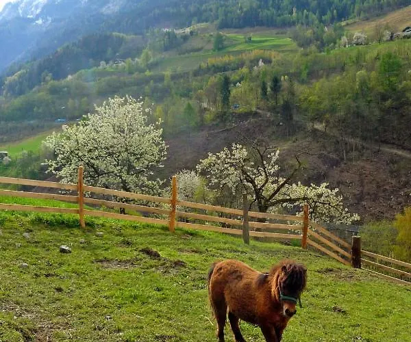 Achtalgut By Interhome Lejlighed *